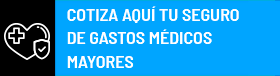 Seguro de Gastos Médicos
